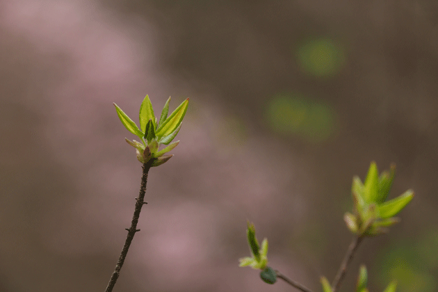 e0346064_18442410.gif