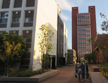 c0282566_21385998.jpg