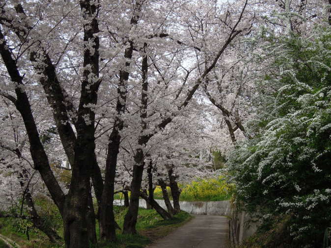 f0104169_16500940.jpg