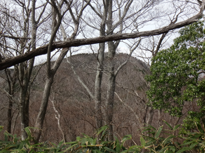 d0182075_543181.jpg