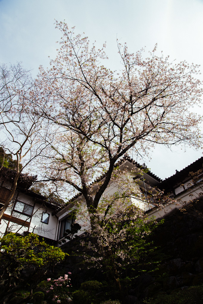 a0301676_08225573.jpg