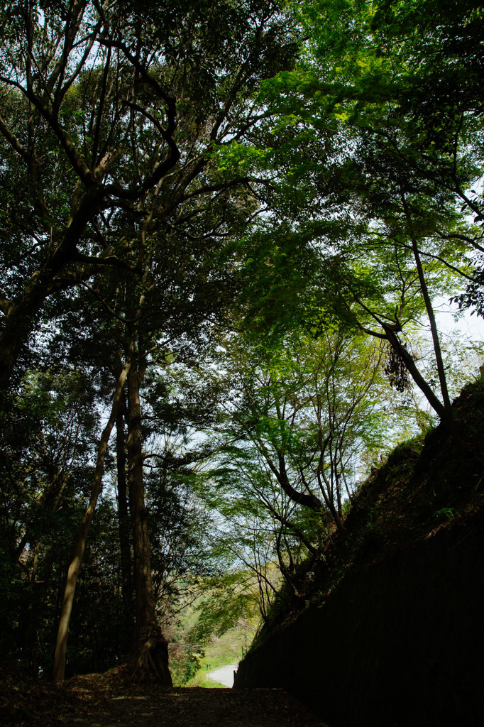 a0301676_13275497.jpg