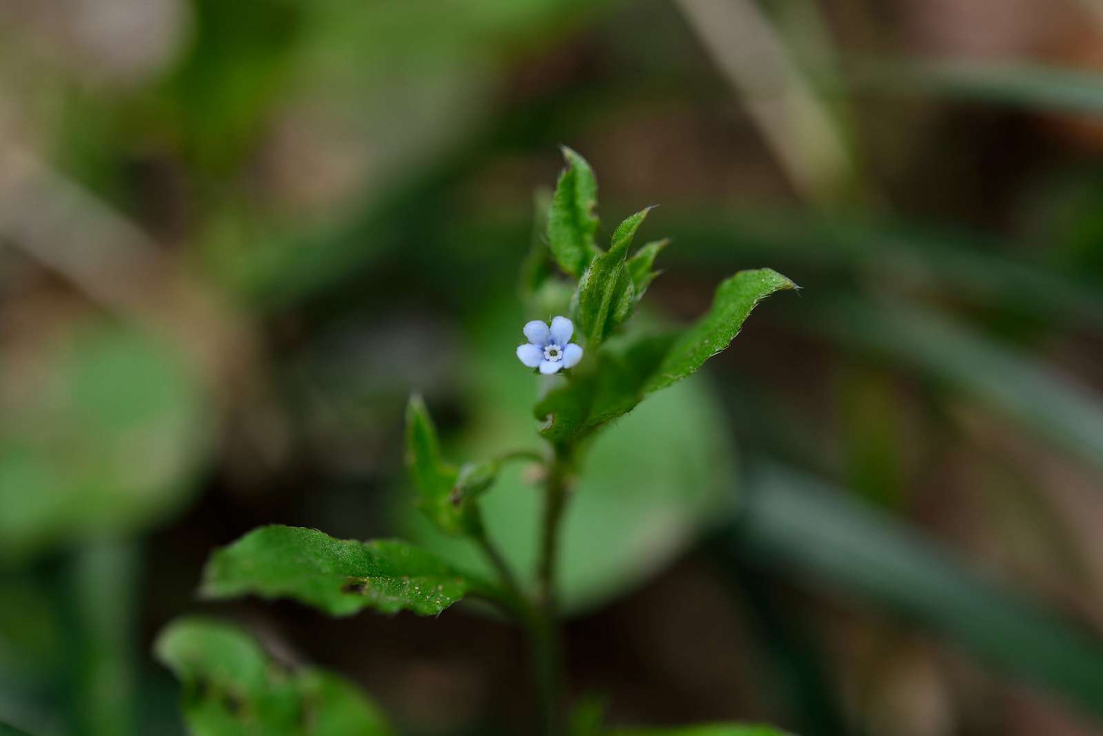 d0328977_22011231.jpg