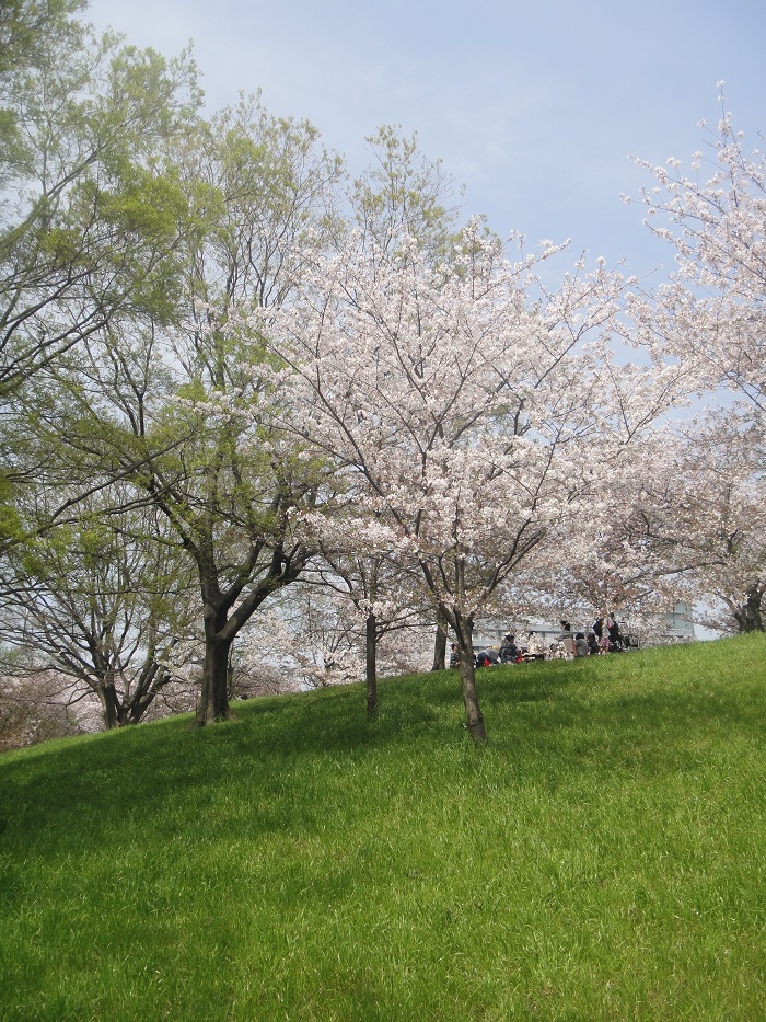 f0238779_15113754.jpg