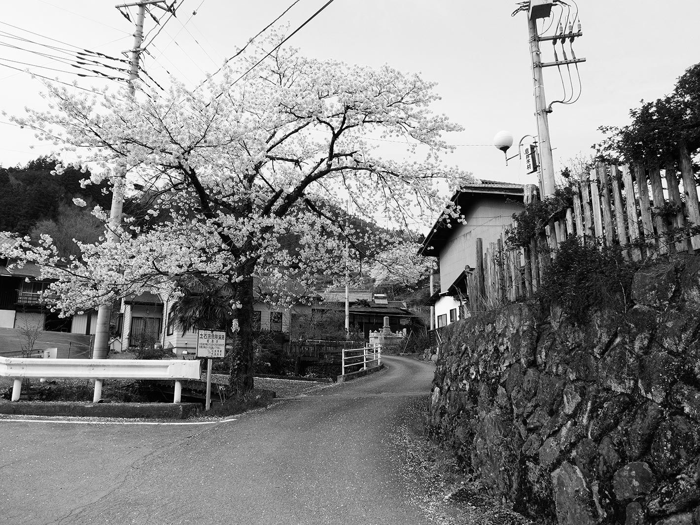 f0121181_0341681.jpg