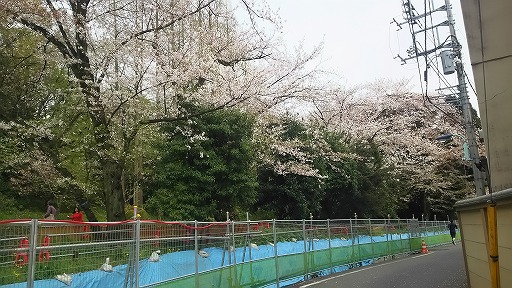 e0020682_18135079.jpg