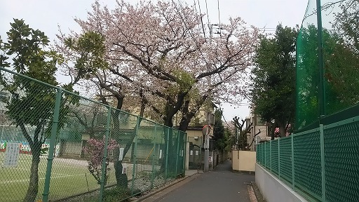 e0020682_18214647.jpg
