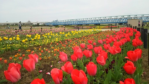 e0020682_18451012.jpg