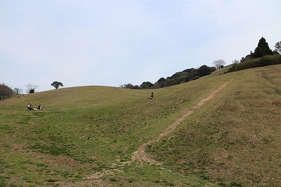 d0156186_2057136.jpg