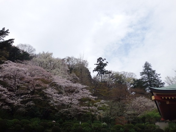 b0225187_0571149.jpg