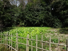 d0183387_19461606.jpg