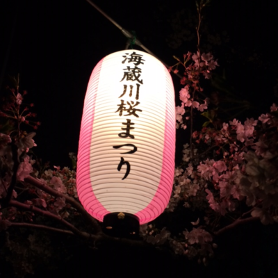 a0113889_2065567.png