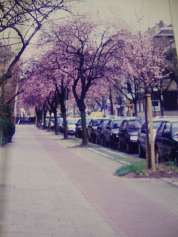 c0322794_05241.jpg