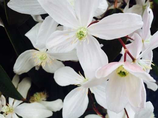 f0201297_00542246.jpg