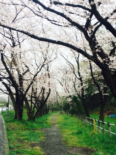 f0201297_00580679.jpg