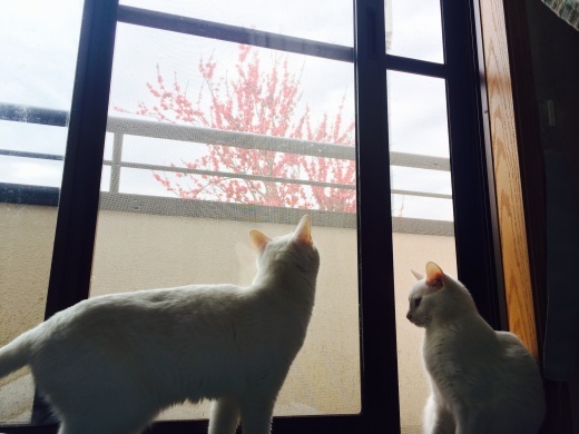 f0201297_00585235.jpg