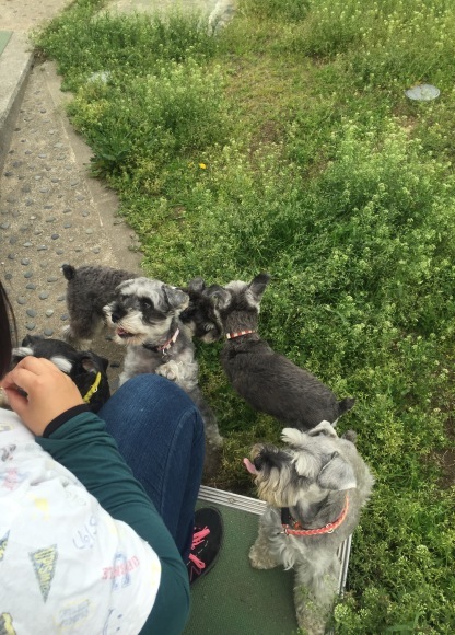 b0188998_21424223.jpeg
