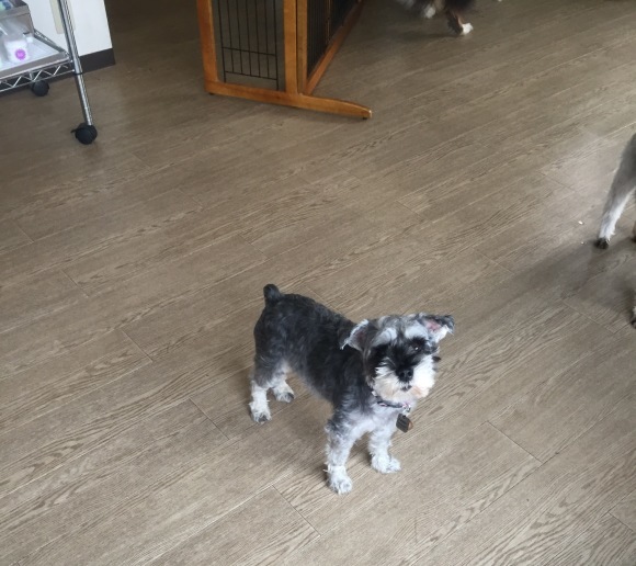 b0188998_21430316.jpeg