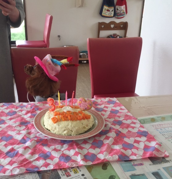 b0188998_21443319.jpeg