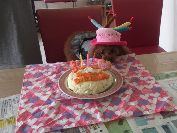 b0188998_21444305.jpeg
