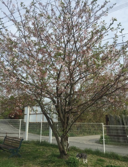b0188998_21450089.jpeg