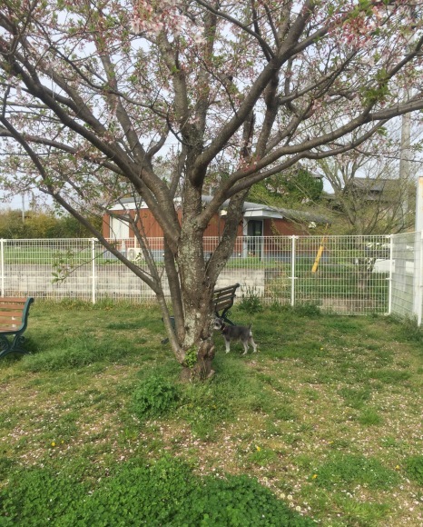 b0188998_21452182.jpeg
