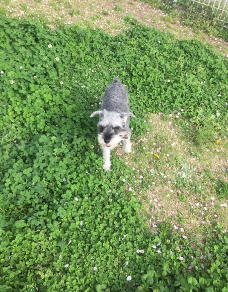 b0188998_21453827.jpeg