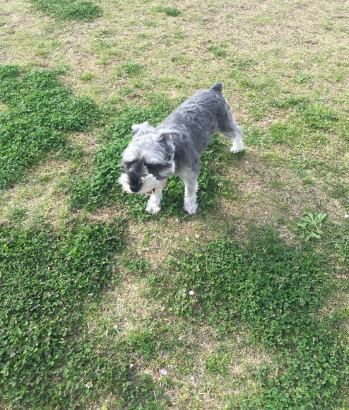 b0188998_21460064.jpeg