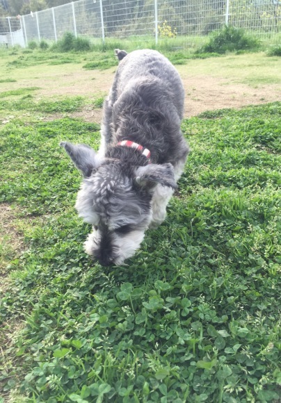 b0188998_21462023.jpeg