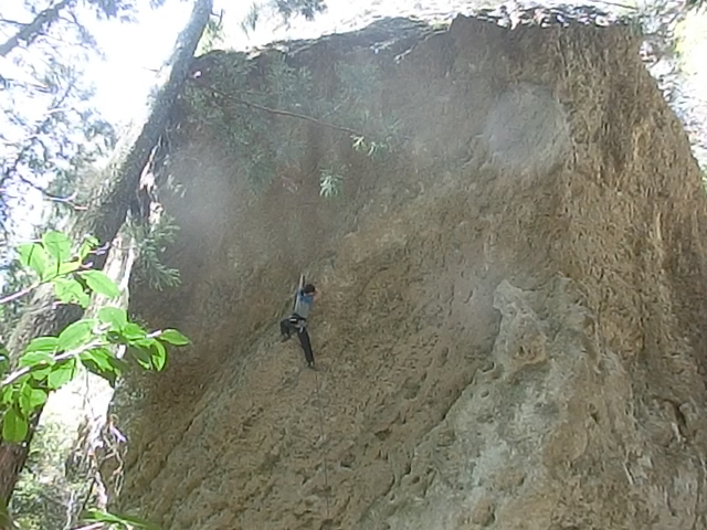 d0151699_18514147.jpg