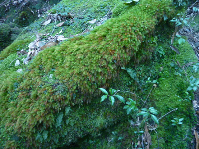 e0326699_031753.jpg
