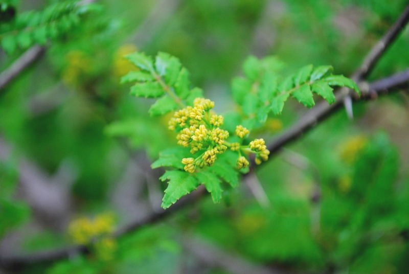 e0025300_1716756.jpg