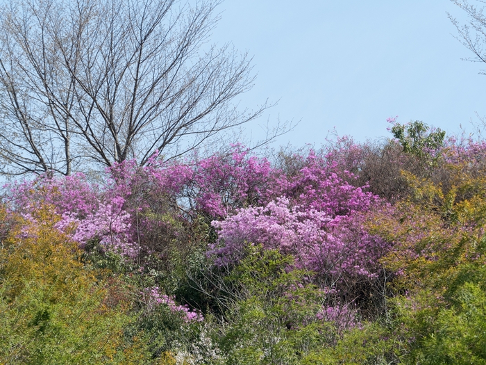 f0224100_22494926.jpg