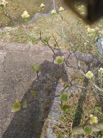 e0272108_22061714.jpg