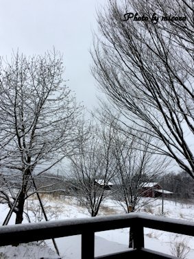 e0328909_14501590.jpg