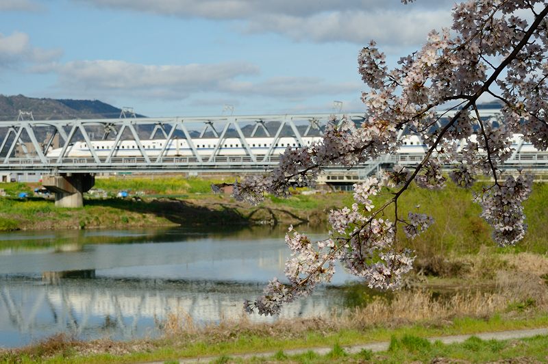 f0032011_19392615.jpg