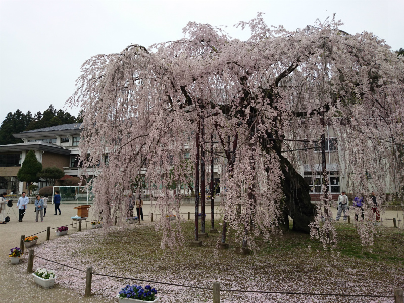 f0100911_22345088.jpg