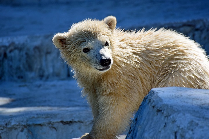 a0151913_1311399.jpg