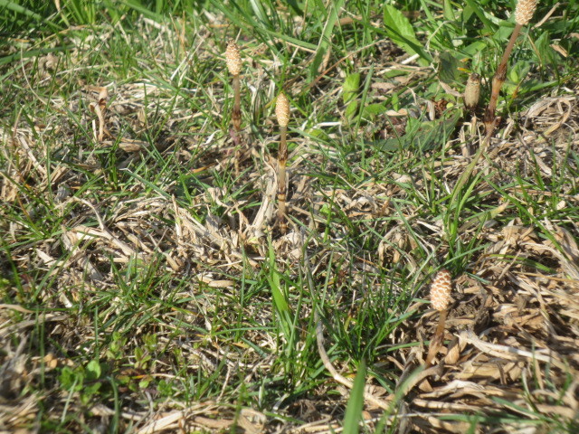f0248616_09055582.jpg