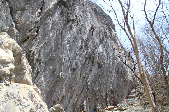 c0210618_14255394.jpg