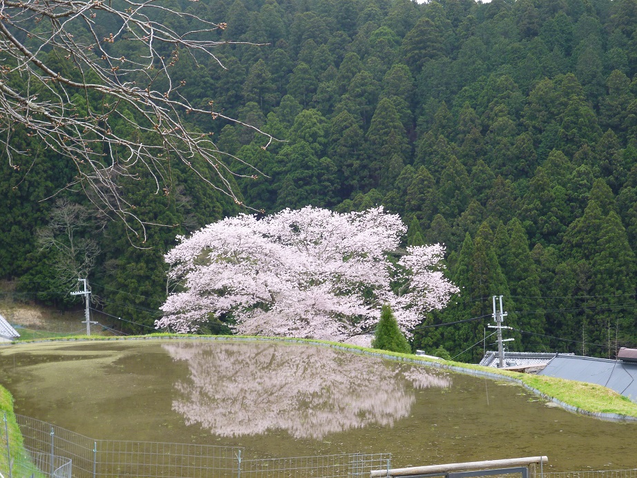 f0228619_22123181.jpg