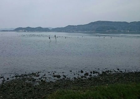b0259124_15494698.jpg