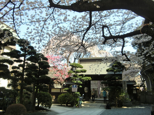 c0095424_14283432.jpg