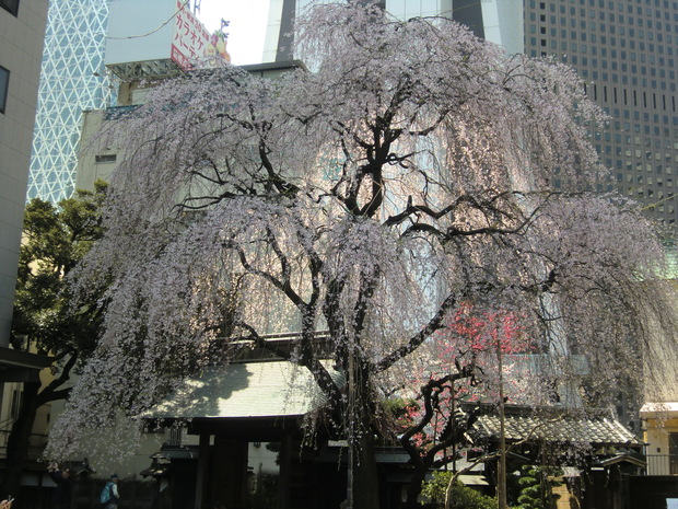 c0095424_14291224.jpg