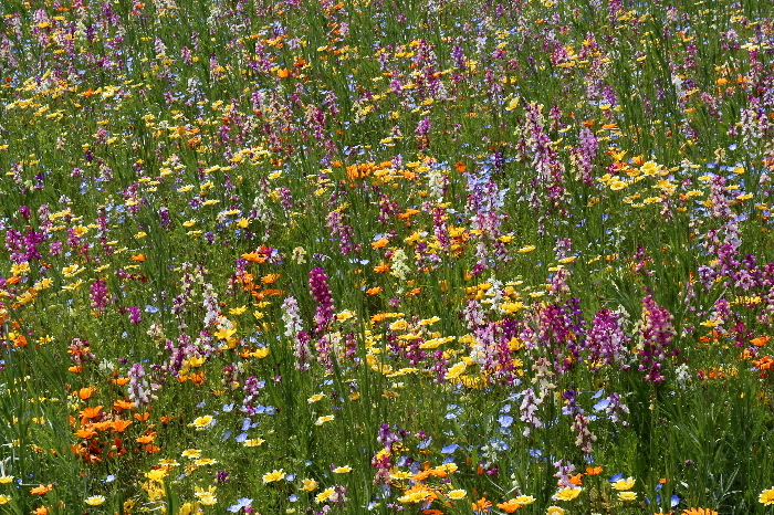 f0103126_21063104.jpg