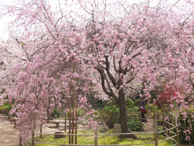 f0231829_23002683.jpg
