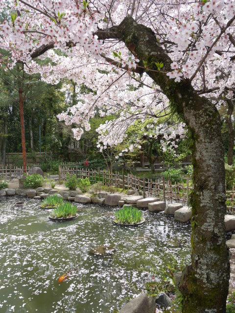 f0231829_23005498.jpg