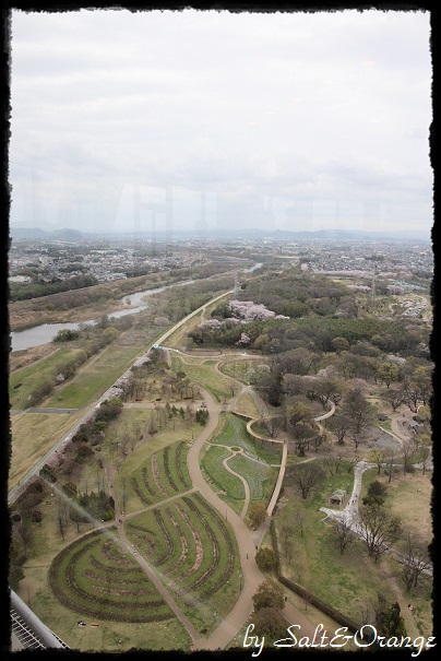e0246732_10273030.jpg