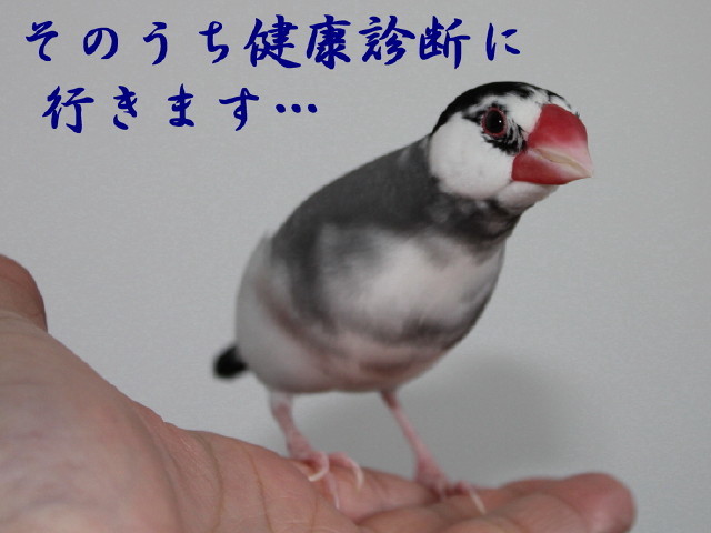 c0365734_22242414.jpg