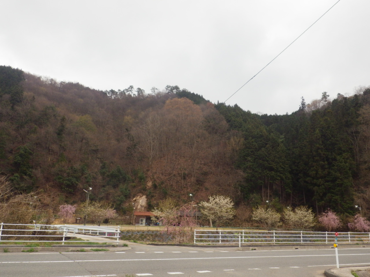 c0300035_919271.jpg